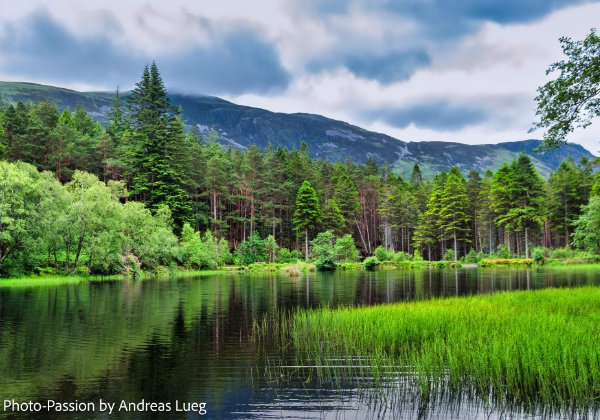 Schottland 2013 Schottland 2013 Ein Rundtour durch Schottland mit vielen Stationen an den typischen Locations.